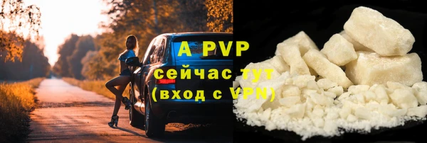 мет Дмитриев