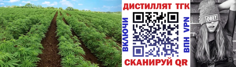 ТГК гашишное масло Королёв