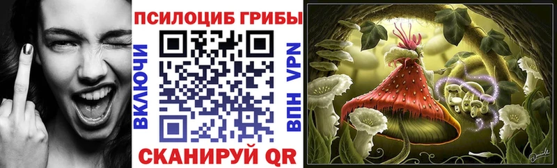 мега рабочий сайт  купить   Королёв  Галлюциногенные грибы Psilocybine cubensis 